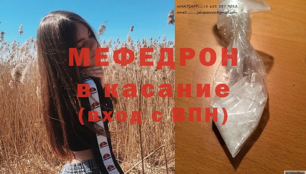 прущие грибы Богданович