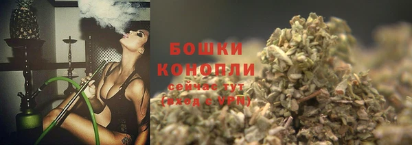 прущие грибы Бугульма