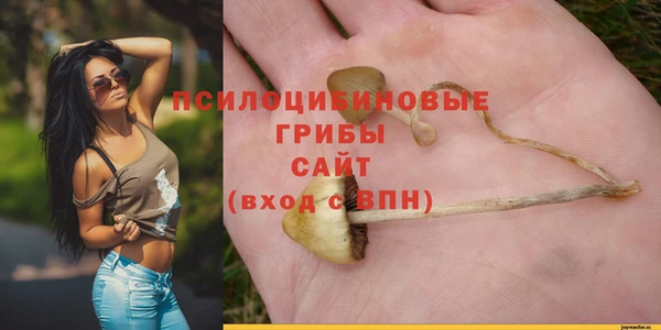 прущая мука Богородск