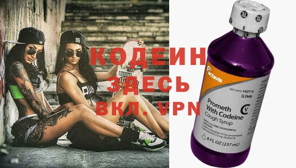 прущие грибы Богданович