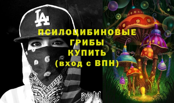 твердый Богородицк