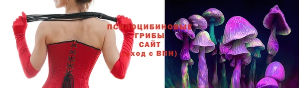прущая мука Богородск