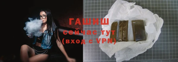 прущие грибы Богданович
