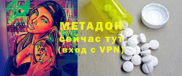 прущие грибы Богданович