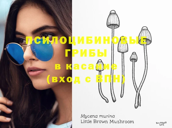 твердый Богородицк