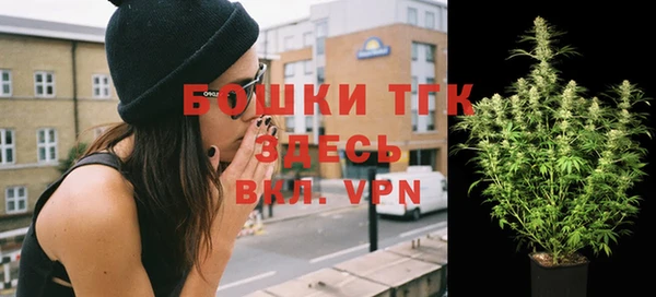 твердый Богородицк